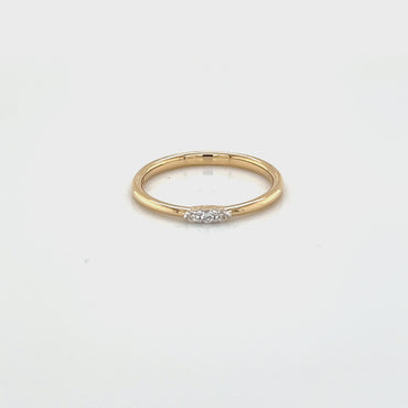 421684005 | 0,05 ct.