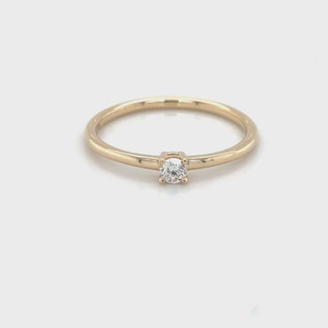 R-100046 | 0,10 ct.