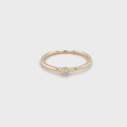 R-100044 | 0,05 ct.