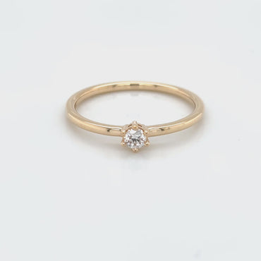 R-100047 | 0,10 ct.